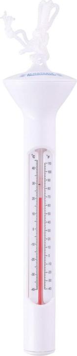 Actual product image EDM Pool thermometer