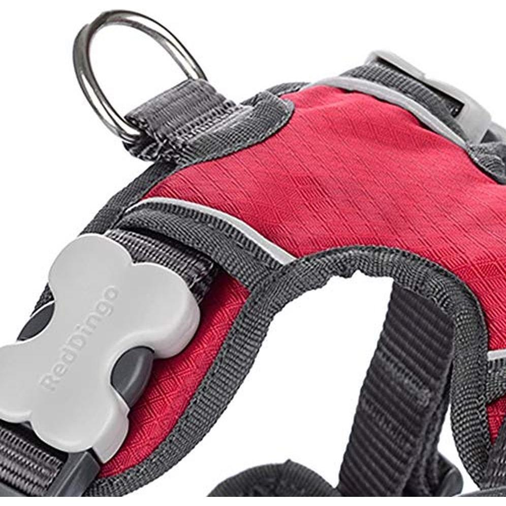 Harnais pour Chien Red Dingo Rembourré Rouge Taille L
