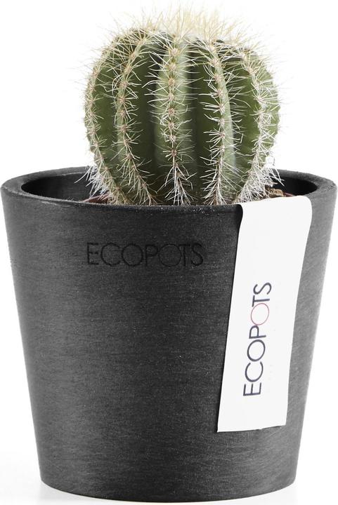 Produktbild Ecopots Amsterdam Mini (8 cm)