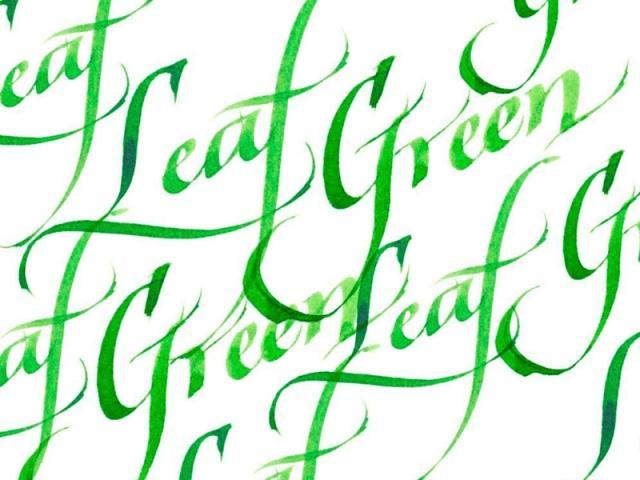 Actual product image Winsor & Newton Ink Calligraphy Ink leaf (1 pcs., Green)