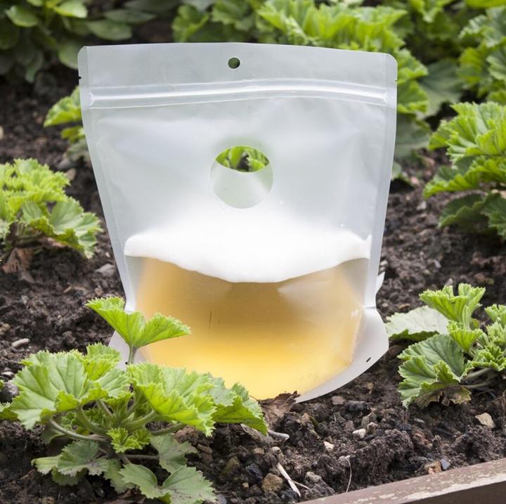 Actual product image Katcha Reusable slug trap Slug Bagz 3-pack