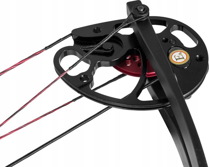 Image du produit Ek Archery Rex Black