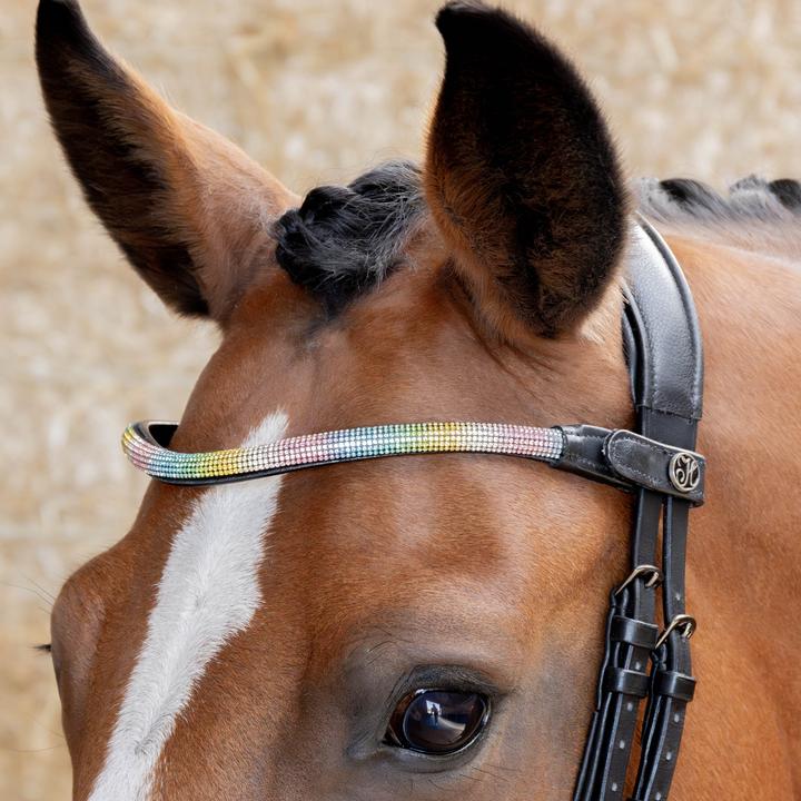 Actual product image Harry's Horse Rainbow