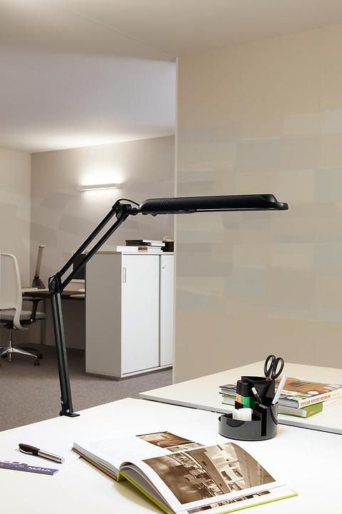 Actual product image Maul Atlantic (840 lm, G23)