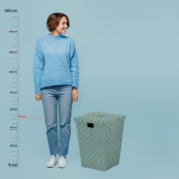 Produktbild Kela Wäschebox Alvaro lindgrün