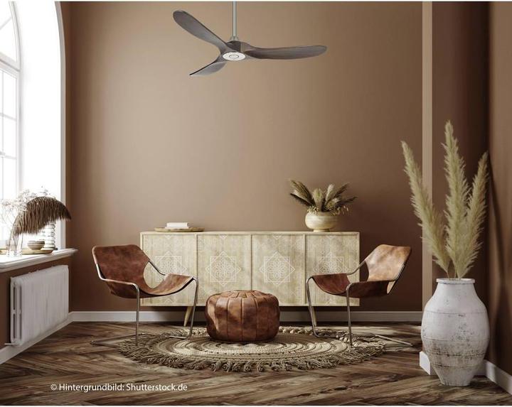 Produktbild CasaFan Eco Genuino