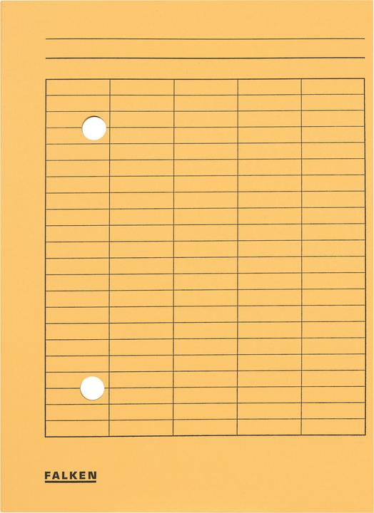 Image du produit Falken Dossier de circulation (A4, 1x)
