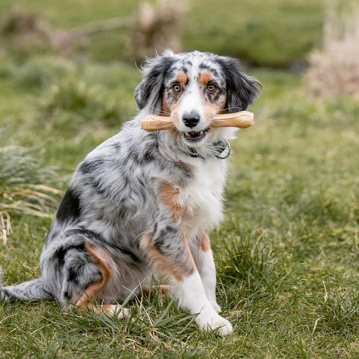 Actual product image Nobby Chew bone pressed (5 pcs., 40 g)