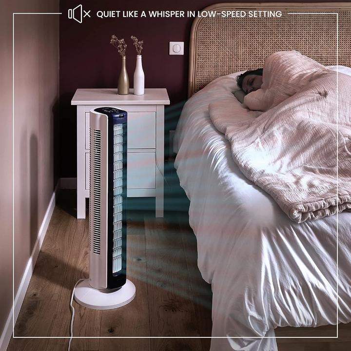 Actual product image Iris Ohyama Woozoo TWFC82T Fan