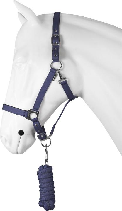 Image du produit Horka Ensemble licol pour cheval dime