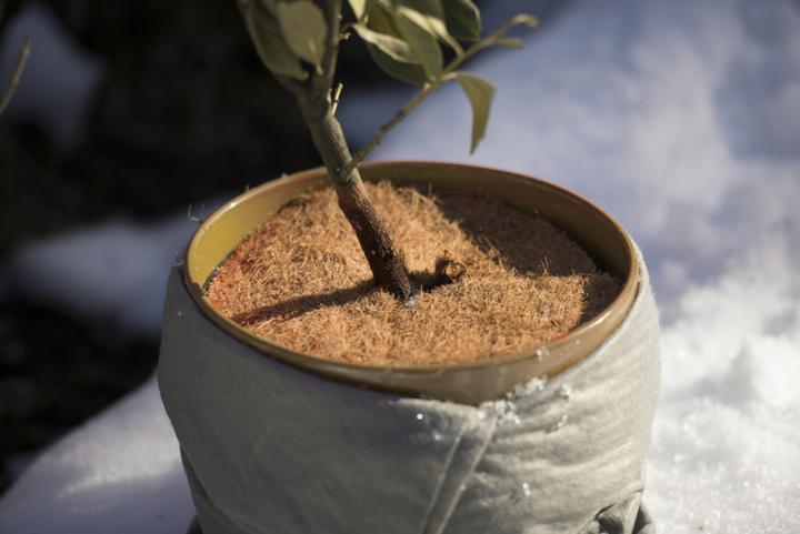 Produktbild Windhager Mulchscheibe Cocodisc