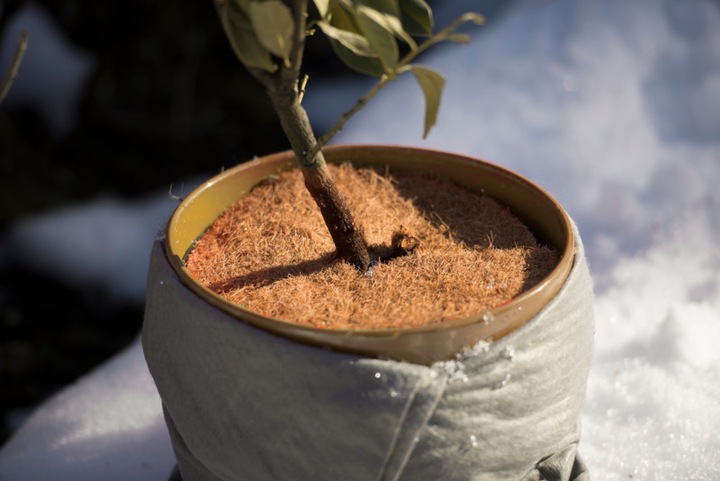 Produktbild Windhager Mulchscheibe Cocodisc