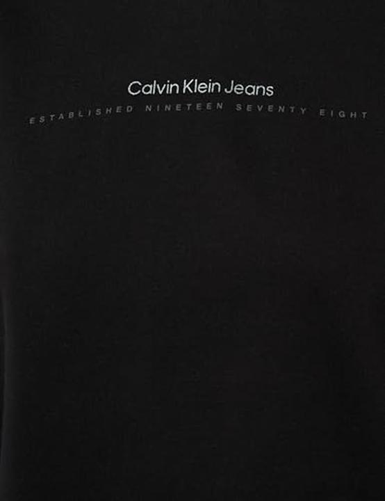Actual product image Calvin Klein Institutional Graphic Regular Hoodie (M)