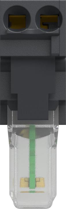 Productafbeelding Schneider Electric LED-module 110-120VAC wit