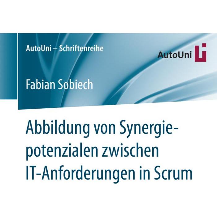 Abbildung von Synergiepotenzialen zwischen IT-Anforderungen in Scrum, Fachbücher von Fabian Sobiech