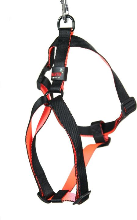 Produktbild Arka Hundegeschirr (M, Hund, Spazieren)