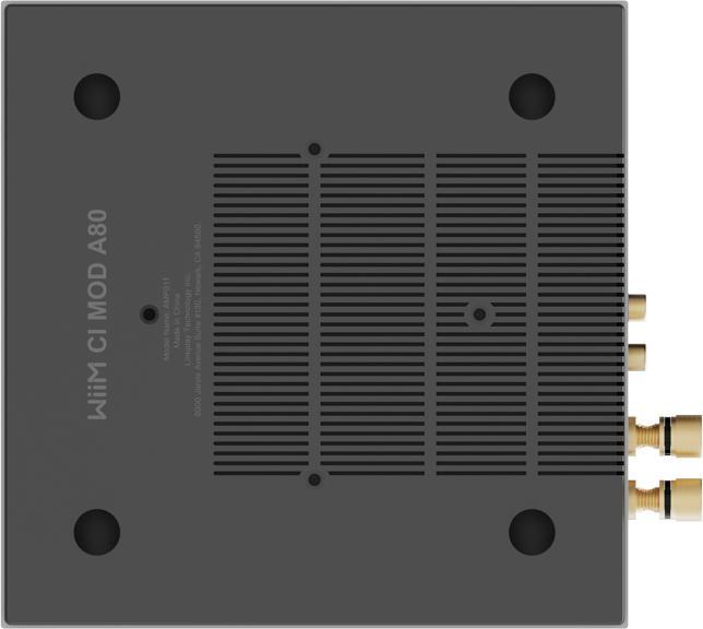 Immagine prodotto WiiM Suono LPWISND (Google Assistant, Apple Siri, Amazon Alexa)