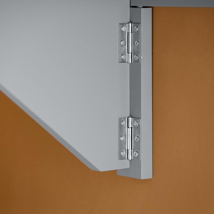 Actual product image SoBuy Wall-mounted folding table