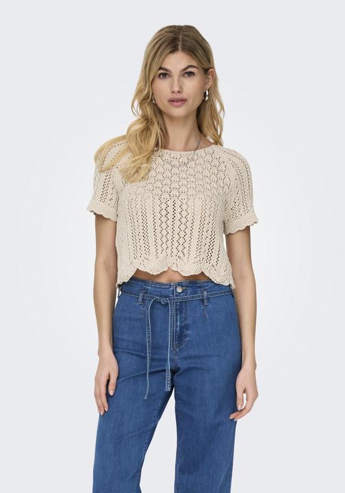 Image du produit Only Onlnola Life S/S Pullover Knt Noos (L)