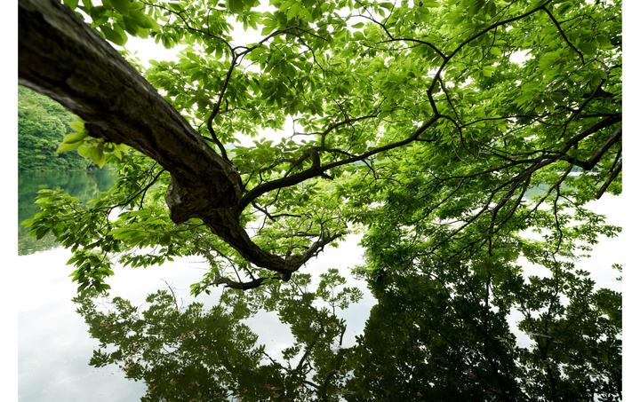 Actual product image Sigma 14-24mm F2.8 DG DN, Sony E (Sony E, full size)