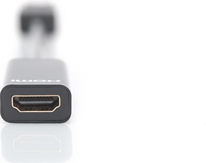 Actual product image Digitus DisplayPort — HDMI (Typ A) (0.15 m)