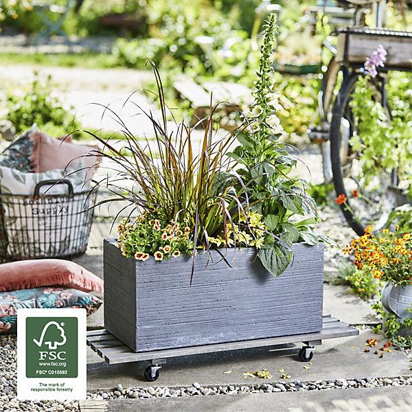 Produktbild Wagner System Pflanzenroller