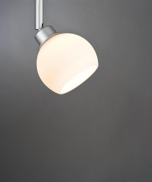 Actual product image Paulmann Wolbi