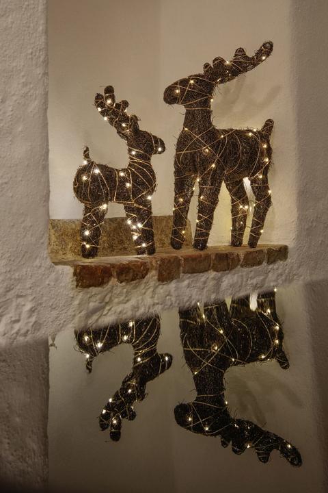 Image du produit STT Natural reindeer