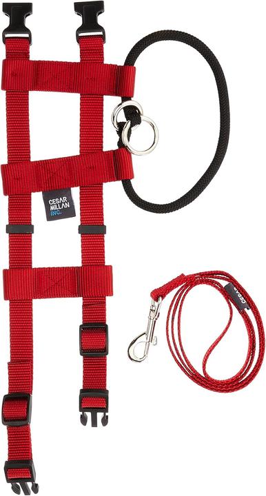 Actual product image Cesar Millan Illusion Trainingshalsband & Leine (S, Dog)