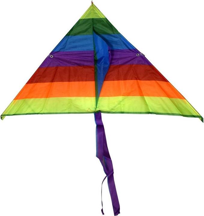 Actual product image PRO Bike Gear Bunter Drachen 68cm