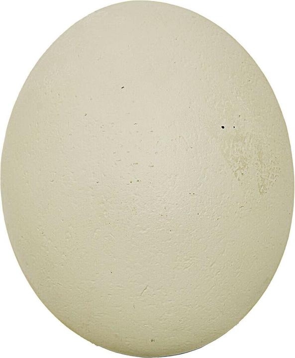 Loberon Deko-Ei Fauverine creme (1x)