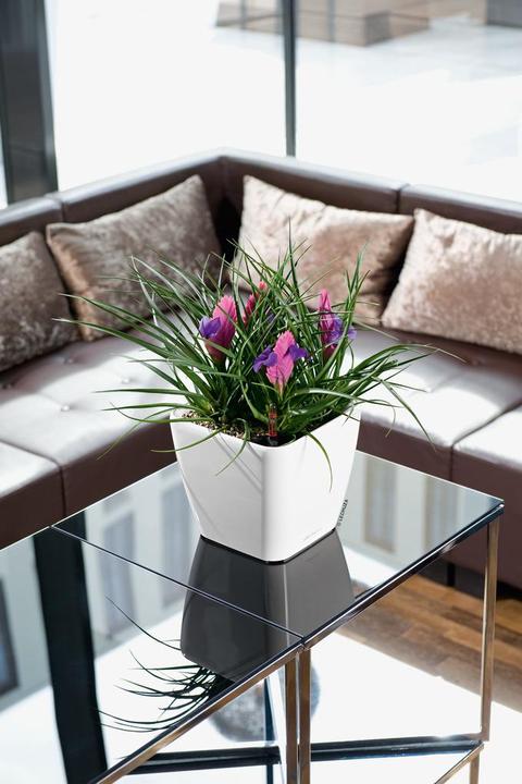 Produktbild Lechuza Quadro LS 21 (22.50 cm)