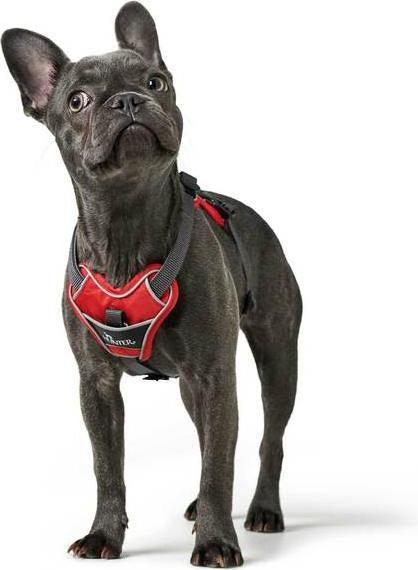 Produktbild Hunter Divo (L, Hund, Allgemein)