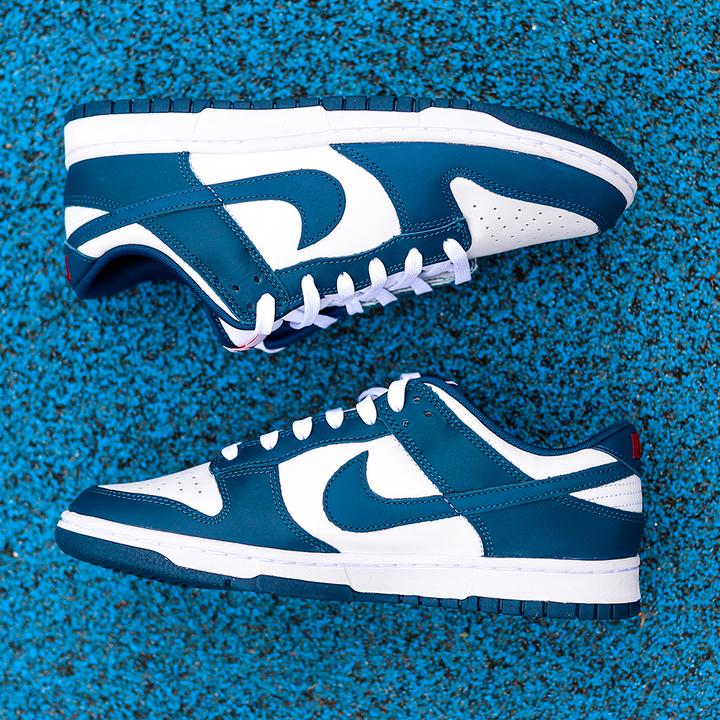 Image du produit Nike Dunk Low (41)