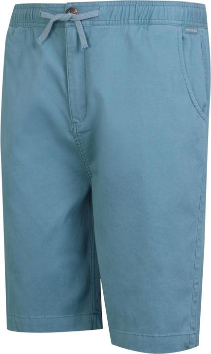 Actual product image Regatta Mens Aldan Chino Shorts (38)