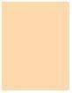 Image du produit L'Oréal Paris Perfect Match (1-2D Beige ivoire)