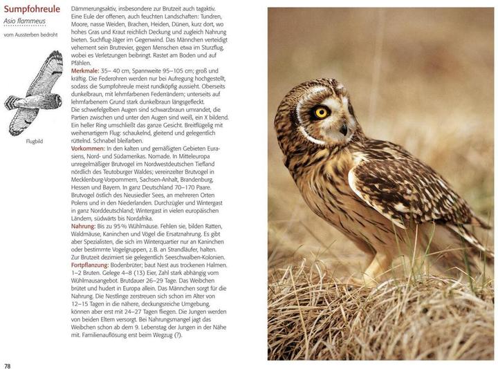 Image du produit Greifvögel & Eulen (Allemand, Walther Thiede, 2019)