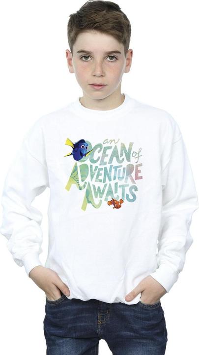 Produktbild Disney Finding Dory Ocean Of Adventure Sweatshirt Jungen (140, 146)