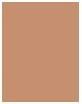 Image du produit Dior Forever Natural Bronze (05 Bronze chaud, Contour, 9 g)