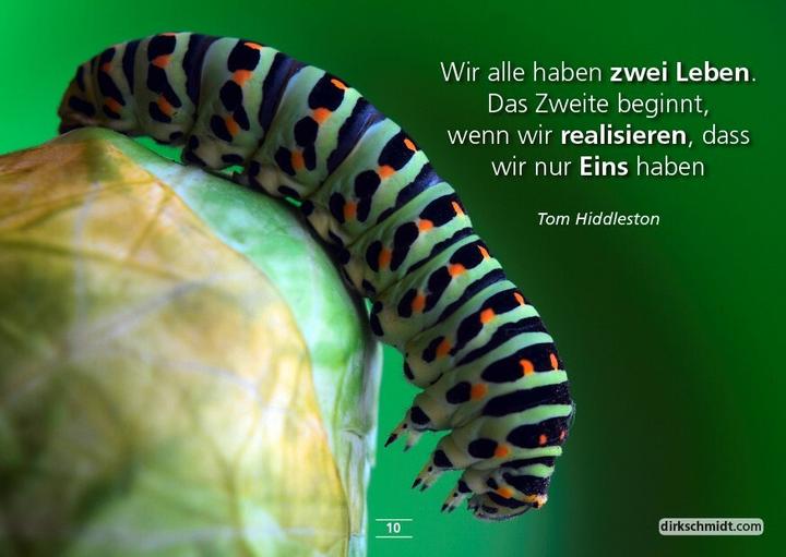 Produktbild MUTivationsbox 2 - 101 Zitate im Postkartenformat (Deutsch, Dirk Schmidt, 2020)