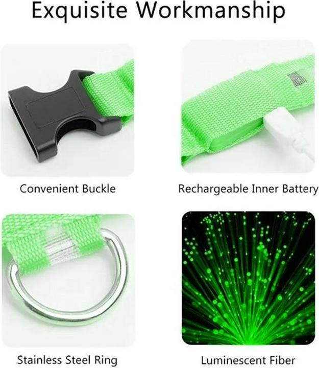 Image du produit Cbx Collier de chien à LED rechargeable taille M - 40-46cm (M, Chien)