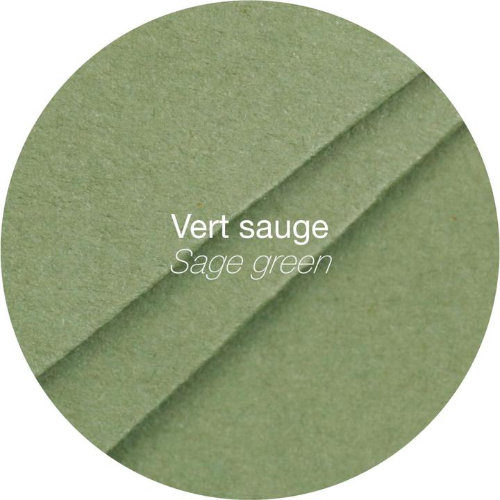 Produktbild Clairefontaine Packung mit 20 Umschlägen Pollen DL 110x220 120g/m2 - Salbeigrün (110 x 220 mm, dl, 20x)