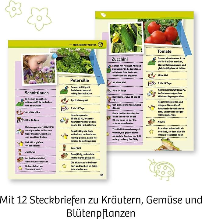 Produktbild Kosmos Mein erstes Gewächshaus