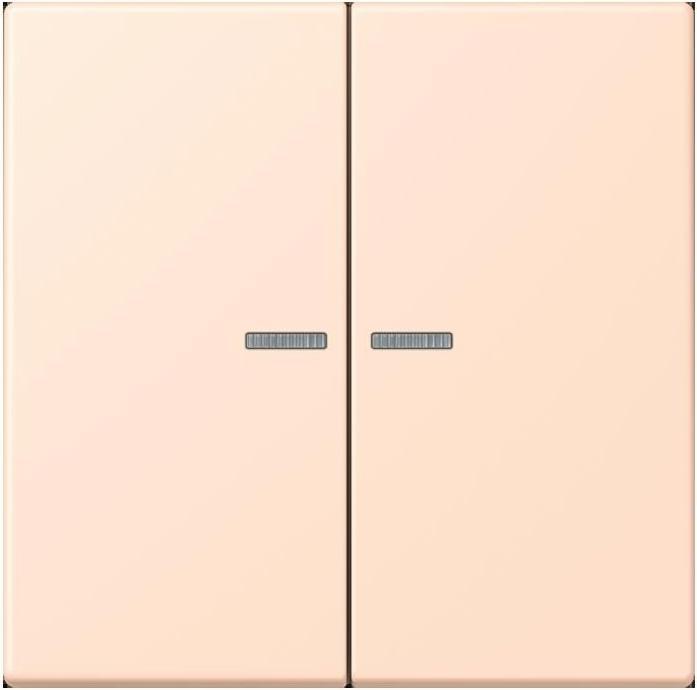 Produktbild JUNG Taster