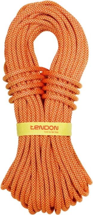 Actual product image Tendon Indoor 10.2 Standard (50 m)