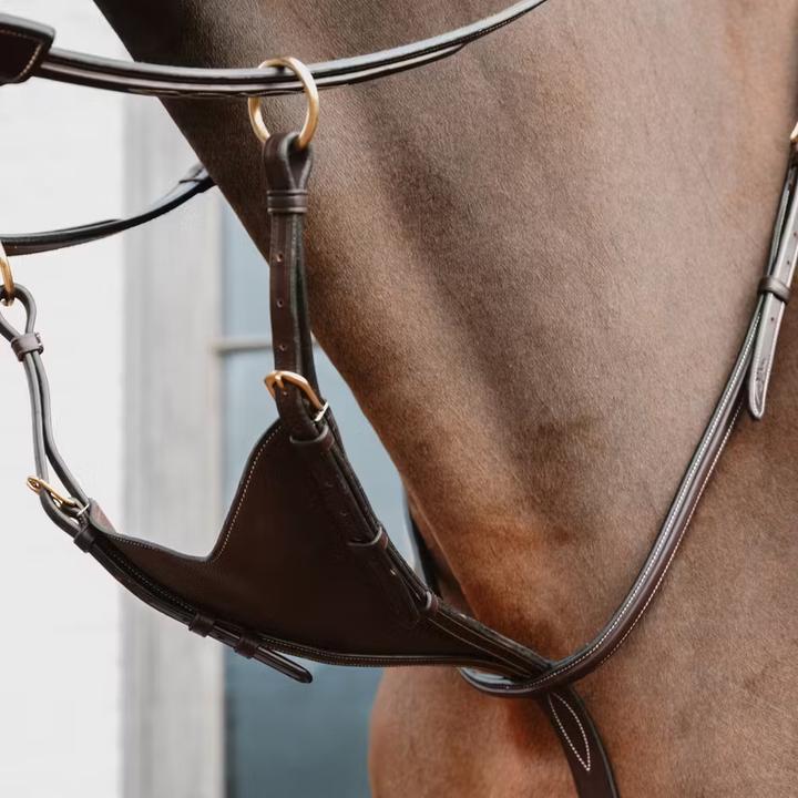 Image du produit Dy'on Martingale pour cheval en cuir