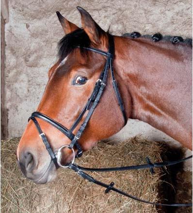 Produktbild TdeT Bellini