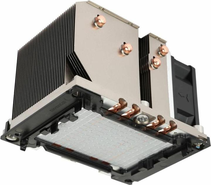 Intertech B-5 actief LG 3647 NARROW