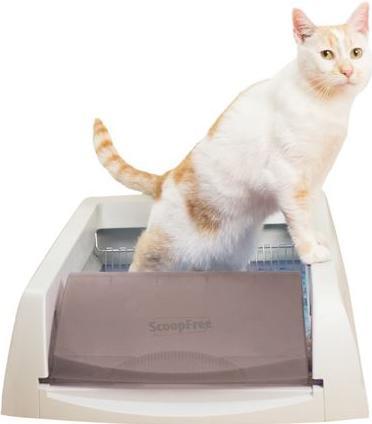 Immagine prodotto Scoop Free Originale (Lettiera autopulente)