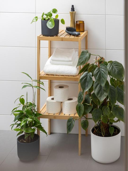 Actual product image Cocon Bathroom shelf (33 x 33 x 90 cm)